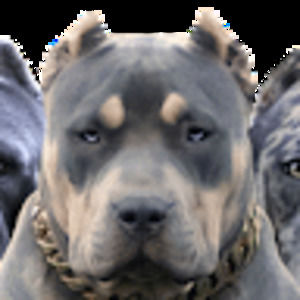 Meet your Posher, Stephen